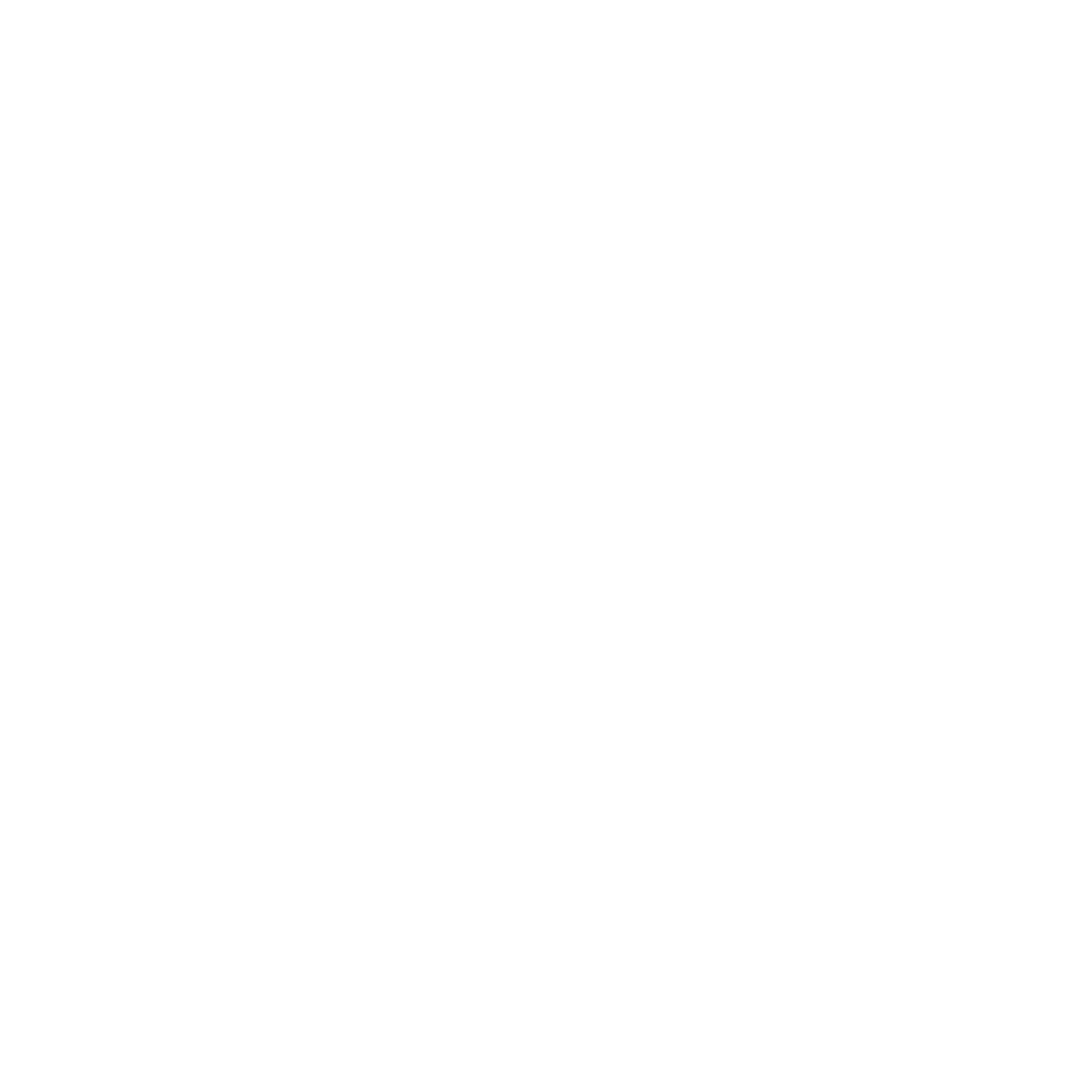 Flayr Labs Logo
